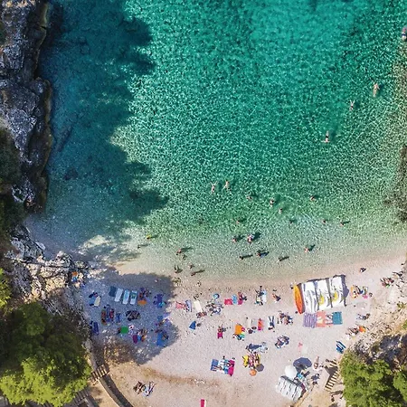 Lovely In With Kitchen Apartment *