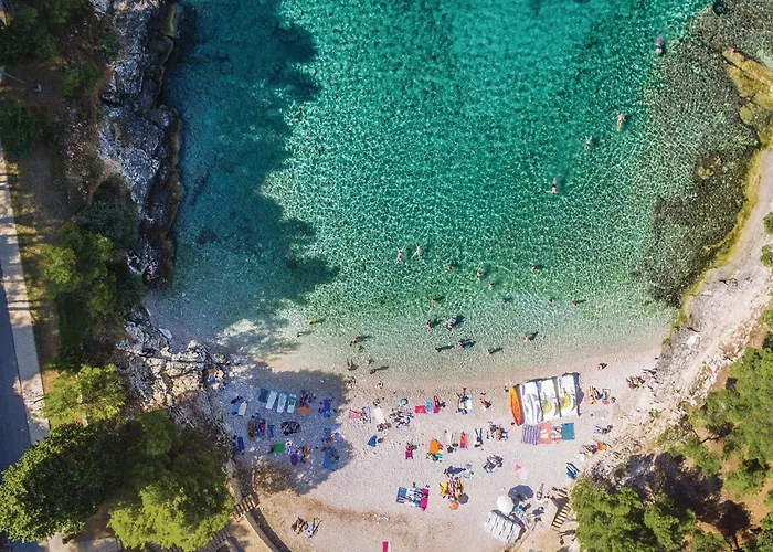 Lovely In With Kitchen Lejlighed *